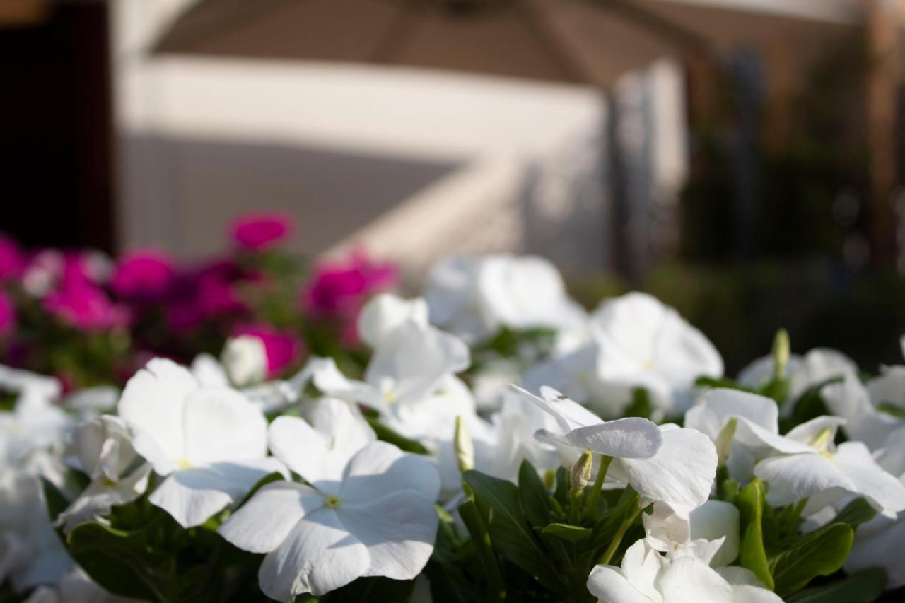נאפולי Relais Villa Montedonzelli מראה חיצוני תמונה